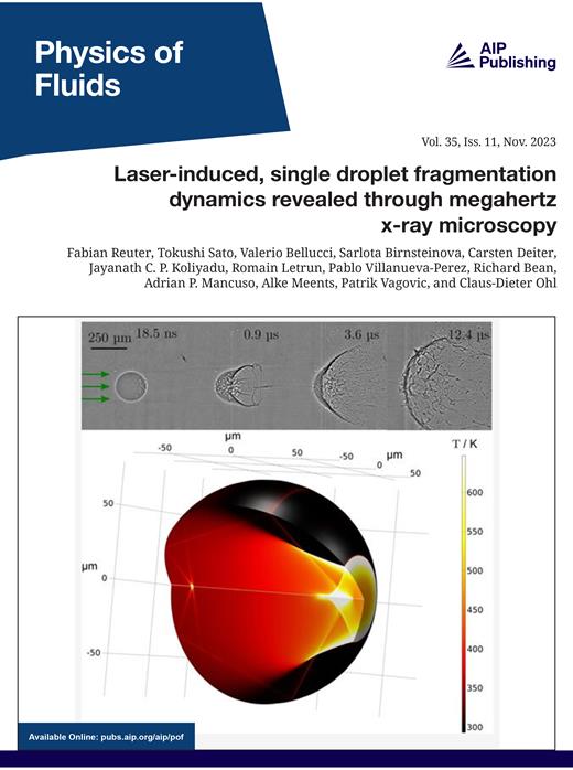 Physics of Fluids Cover Image for Volume 35, Issue 11