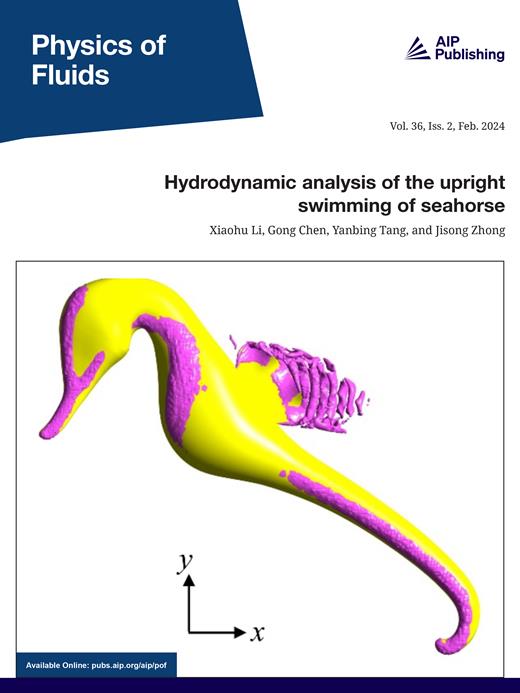 Physics of Fluids Cover Image for Volume 36, Issue 2