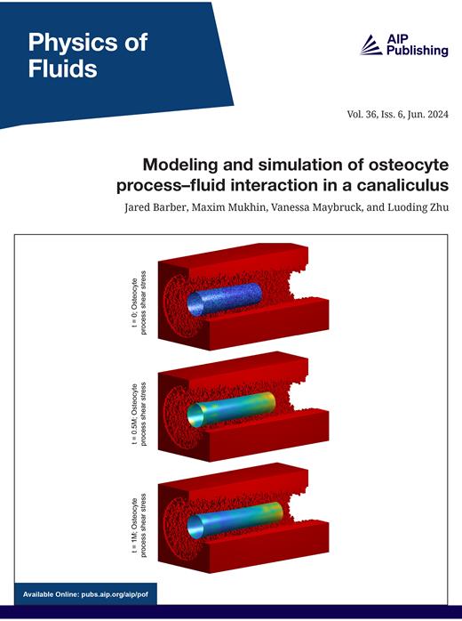 Physics of Fluids Cover Image for Volume 36, Issue 6