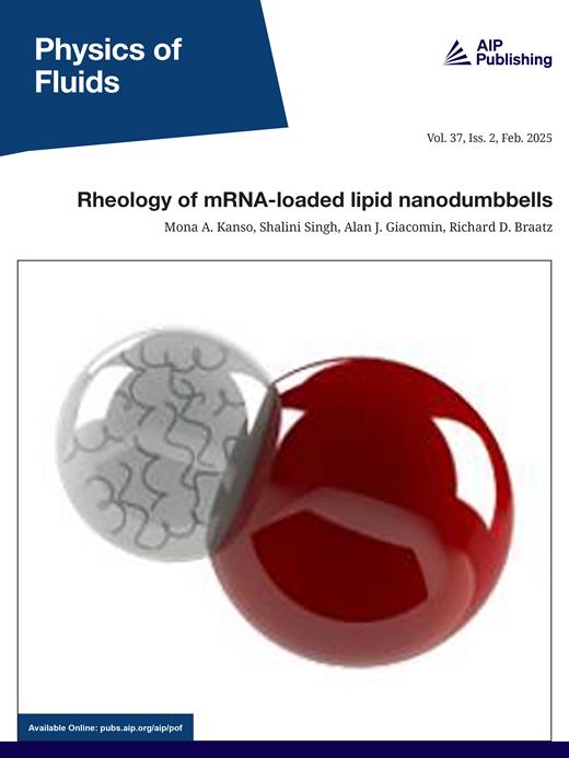 Physics of Fluids Cover Image for Volume 37, Issue 2