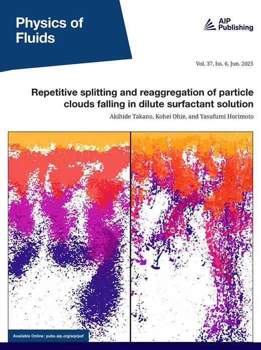 Physics of Fluids Cover Image for Volume 37, Issue 6