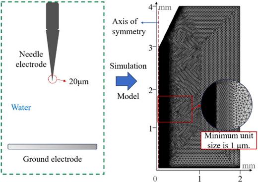Schematic of simulation model.