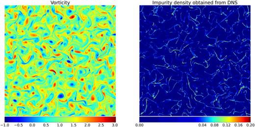 Vorticity field (left) and corresponding impurity density field (right) (   S t = 1) obtained from DNS for the case of c = 0.7, cHW.
