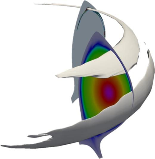 3D rendering of poloidal cross sections of the background electron density (front) and of the W density in the SOL and edge (back). The gray contours show how the bulk of the W is spread at around    t −  t 0 = 0.5 ms.