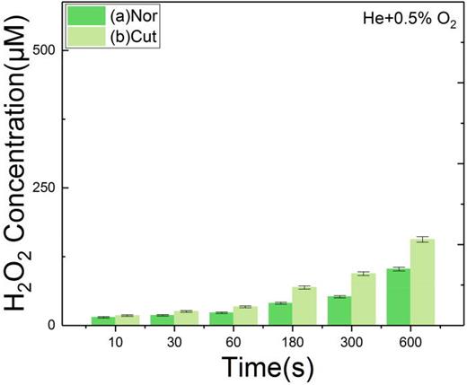 Mechanisms of OH and H2O2 formation in the liquid phase induced by an ...