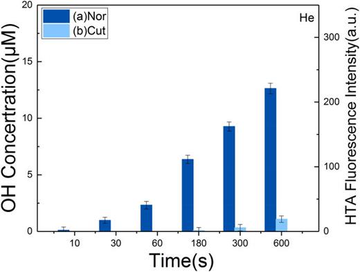 Mechanisms of OH and H2O2 formation in the liquid phase induced by an ...