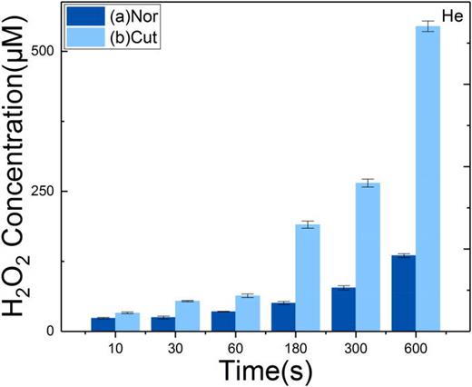 Mechanisms of OH and H2O2 formation in the liquid phase induced by an ...