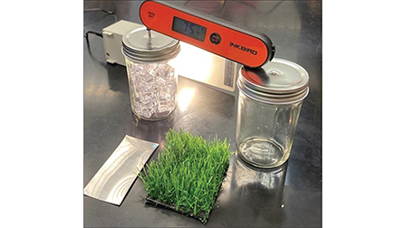 The Greenhouse Effect and Anthropogenic Climate Change in the Lab | The ...