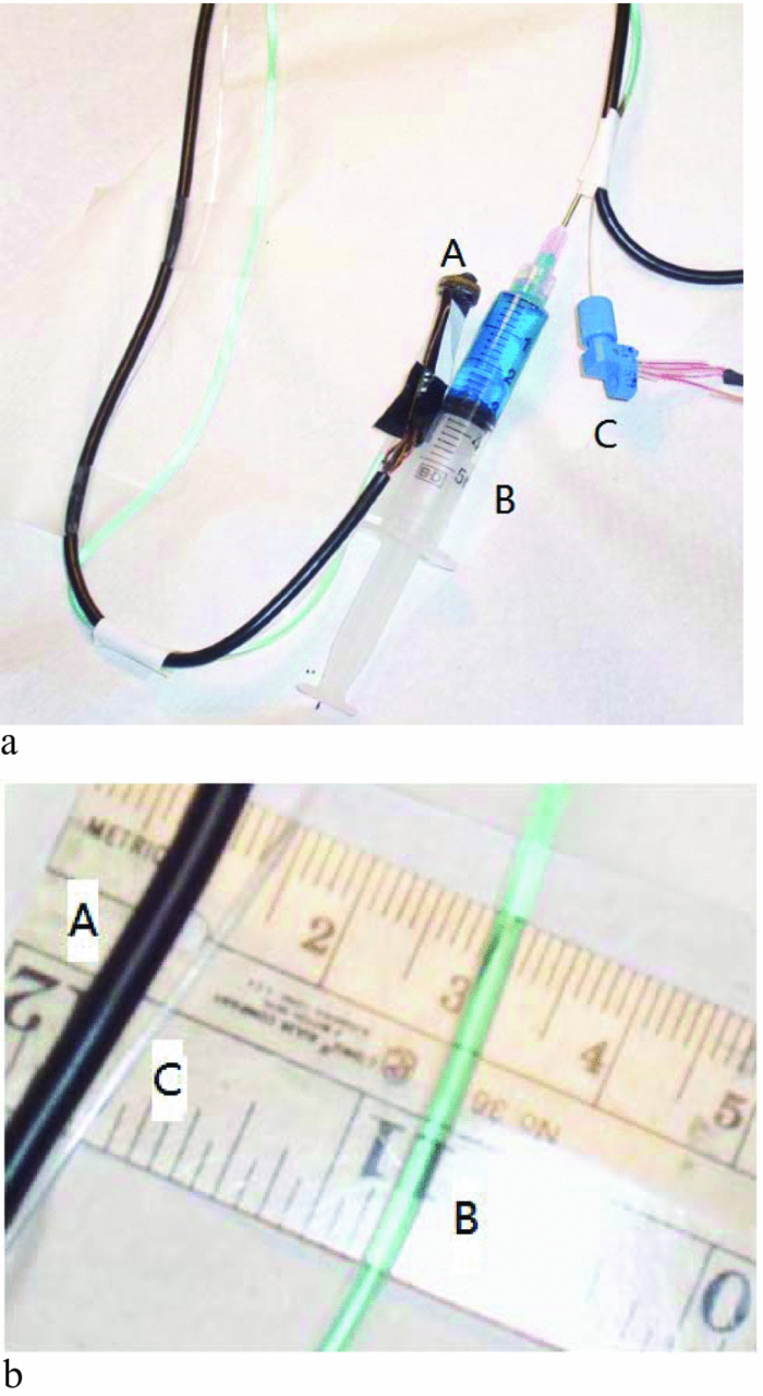 Fiber based pathogen photoinactivating system | Review of Scientific ...