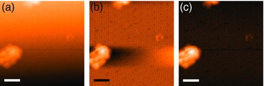 FIG. 2. (a) Raw STM image of Si(111) 7×7 reconstruction. (b) Line-by-line flattening of the same image, resulting in distortion of the surface near contamination. (c) Iterative plane flattening (with masking) of same image using a SPIW algorithm. (Scale bars 6 nm.)