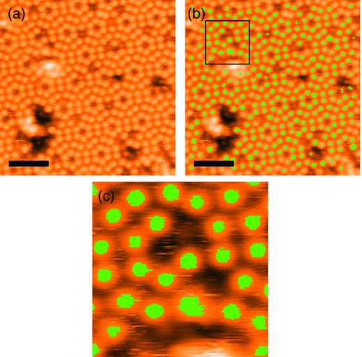 FIG. 5. (a) STM image of Si(111) 7 × 7 reconstruction flattened using SPIW mask and flatten routines. (b) Computer vision image of (a) with all well-resolved atoms masked for shape. (c) Zoom of boxed region of (b). (Scale bars 3 nm.)
