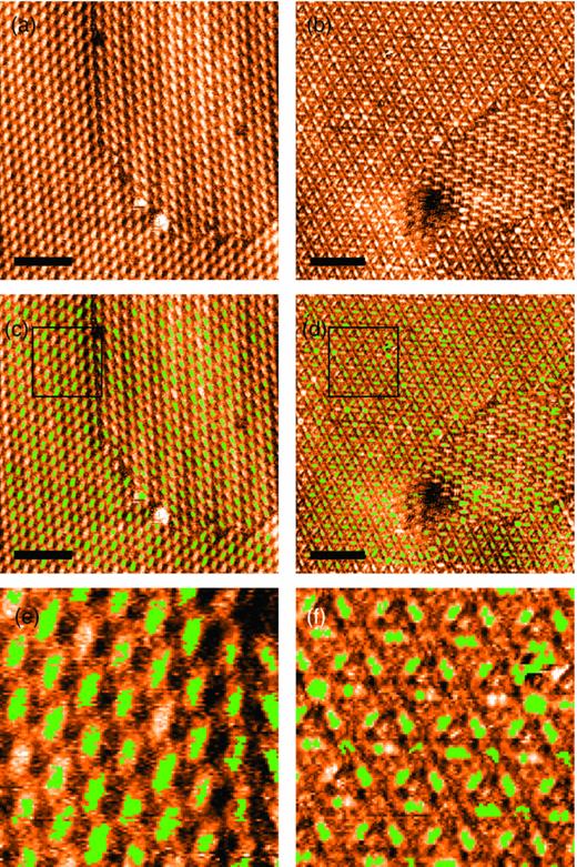 FIG. 7. (a) and (b) Liquid STM image of quaterphenyl-tetracarboxylic acid and terphenyl benzene assembly on HOPG. (c) and (d) Computer vision image of (a) and (b), respectively, with all well resolved molecules masked for shape. (e) and (f) Zoom of boxed region of (c) and (d), respectively. (Scale bars 10 nm.)