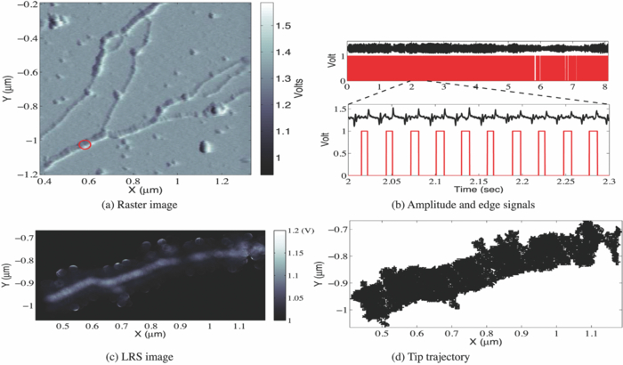 Note: Fast imaging of DNA in atomic force microscopy enabled by a local ...