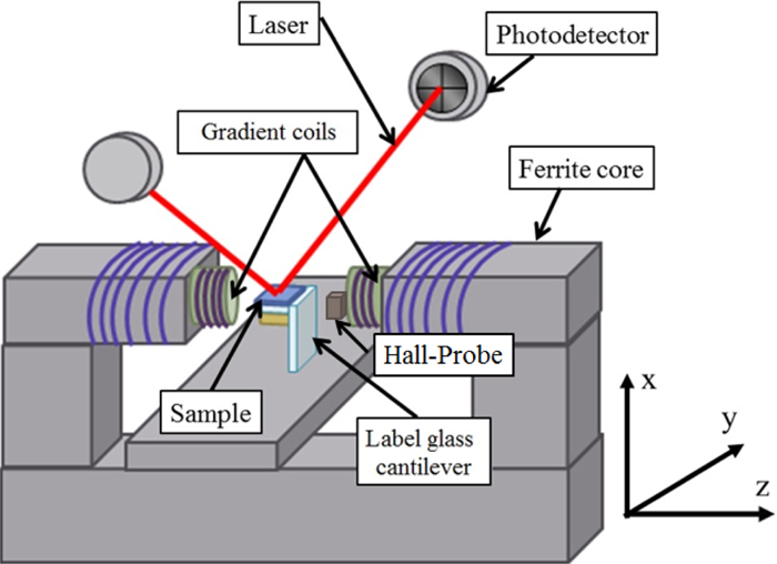 Combined alternating gradient force magnetometer and susceptometer ...