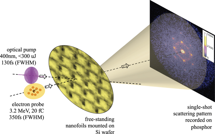 Single-shot mega-electronvolt ultrafast electron diffraction for ...