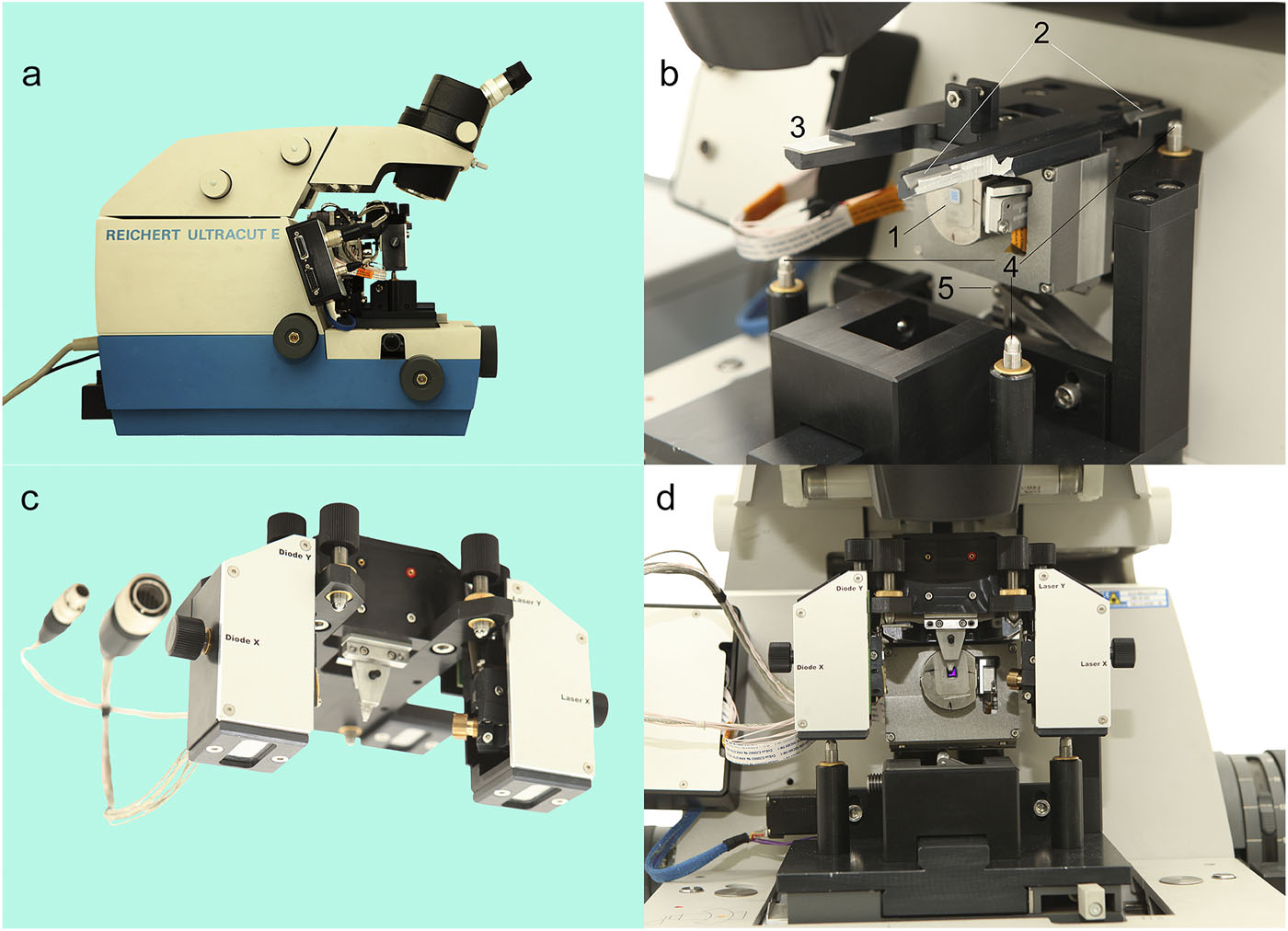 A novel design of a scanning probe microscope integrated with an ...