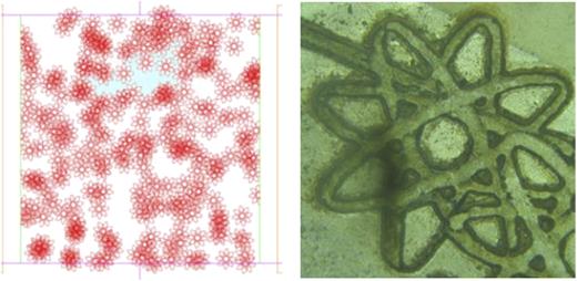 FIG. 4. (Left) Example of asterisk shaped pores to be used in experimental percolation studies. The percolation threshold of this system can be easily determined using experimental methods, but is extremely difficult to find using theoretical means. (Right) Picture of an asterisk cut into the aluminum coated Mylar with the laser at the edge of the defined percolation region. The asterisk is composed of four ellipses, each rotated 45°. The major ellipse diameter is 0.589 cm and the minor diameter is 0.147 cm and the laser kerf (width of the cut) on the majority of the elliptical path is ∼0.034 cm.