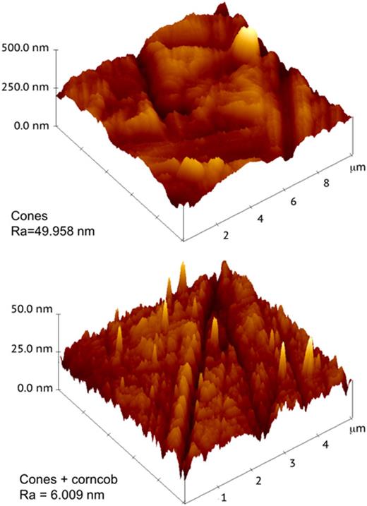 FIG. 6. Atomic force microscopy (AFM) surface-analysis results of the square stainless steel coupons. Top: The surface finish Ra is ∼50 nm after tumbling in plastic cones. Bottom: the surface finish Ra is ∼6 nm after subsequent tumbling in corncob. The sampling area is ∼25 μm2 for both images.