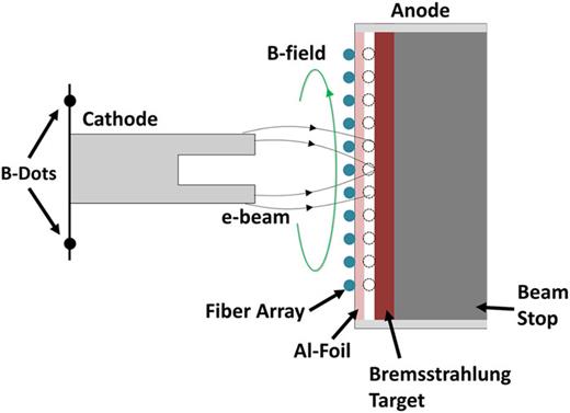 FIG. 2. Four B-dots are placed 90° apart behind the cathode to measure the beam current and the current due to back streaming ions from the anode surface plasma. The 11-fiber array images the foil surface (filled circles) or the anode target (unfilled circles), depending on the diode configuration.