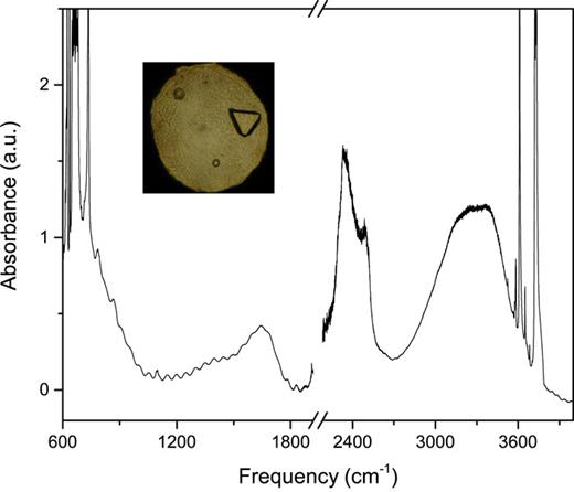 FIG. 6. FTIR spectrum of the as-loaded mixture of carbon dioxide and water in the DAC at pressure 2.0 GPa and room temperature. In the inset, the sample aspect after the loading is shown: two ruby chips and a crystal of c-BN are visible. The frequency axis break excludes the frequency region where the saturating absorption of the diamond anvils occurs.