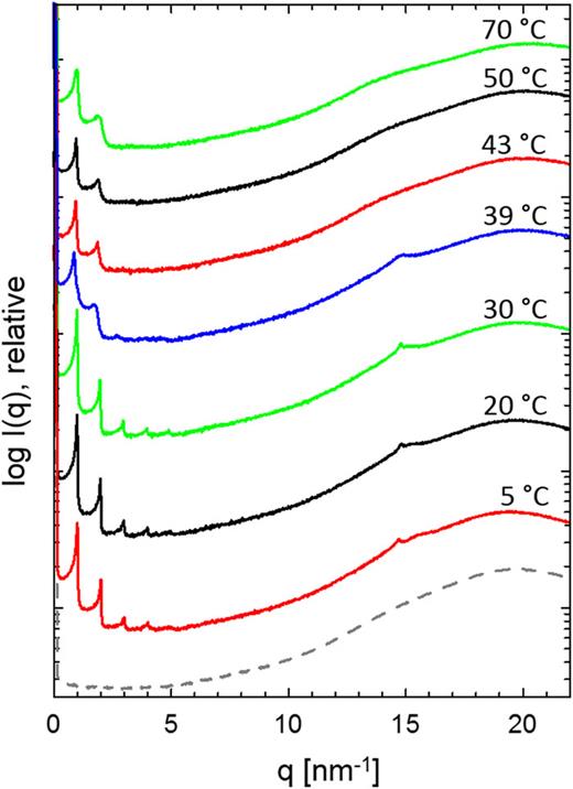 High-performance small- and wide-angle X-ray scattering (SAXS/WAXS ...