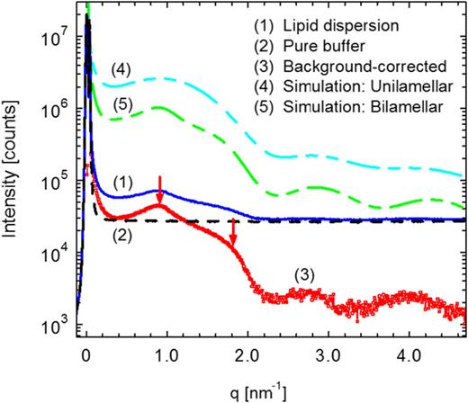 High-performance small- and wide-angle X-ray scattering (SAXS/WAXS ...