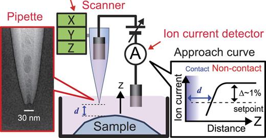 FIG. 1. Working principle of SICM. The electrolyte-filled pipette with a nanopore at its end (see the transmission electron micrograph in the left panel) is mounted on the scanner. The ion current through the nanopore generated by the application of bias voltage between the two Ag/AgCl electrodes is measured by the ion current detector. The measured ion current, which is dependent on the tip-surface separation d, is used as a pipette Z-position control signal.