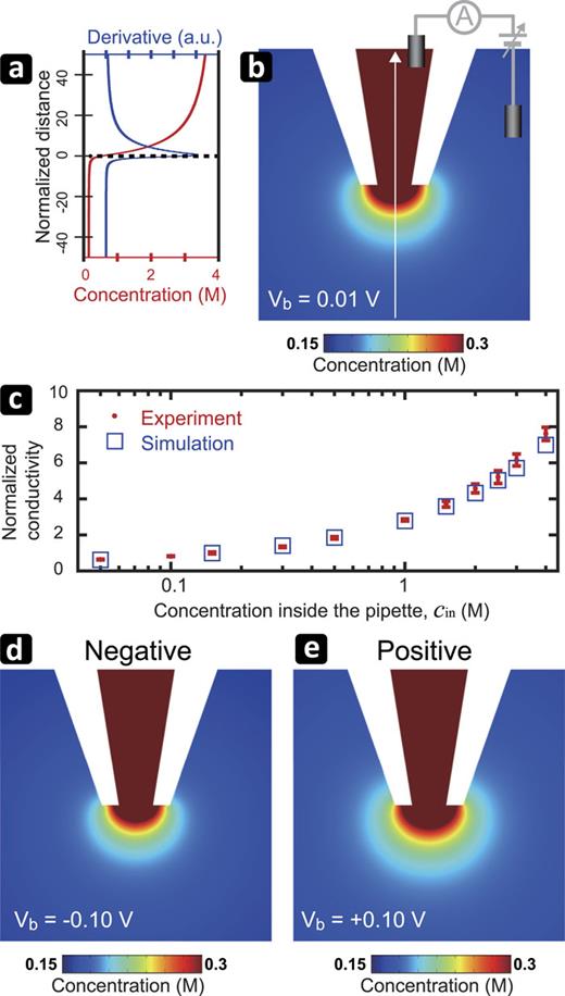 FIG. 3. Spatial distribution of average concentration of K+ and Cl− obtained by FEM simulation. The surface charge density of the tip was set at −10 mC/m2. (a) Average ion concentration profile (red) and its derivative (blue) along the white arrow shown in (b). cin (KCl) = 4M, cout (KCl) = 0.15M, and Vb = 0.01 V were used. The vertical axis represents the Z-distance from the tip aperture normalized with the tip aperture diameter; the tip aperture position is zero as indicated by the broken line. (b) Spatial distribution of the average ion concentration under the same conditions as (a). (c) Enhancement of tip conductivity by the ion concentration gradient (ICG). The vertical axis represents the enhancement factor of the tip conductivity with respect to the ion conductivity at cin = 0.15M. (d) and (e) Spatial distributions of average ion concentration at Vb = −0.1 V (d) and Vb = 0.1 V (e) for cin (KCl) = 4M and cout (KCl) = 0.15M.