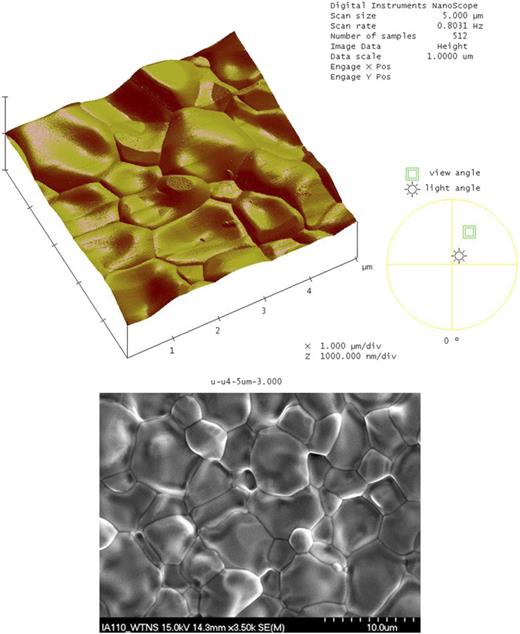 FIG. 4. Typical AFM (top) and SEM (bottom) images of coated films are shown. The typical grain size is 2 μm–3 μm as shown in the SEM image. The typical roughness is about 50 nm calculated for 5 × 5 μm2 AFM scans.