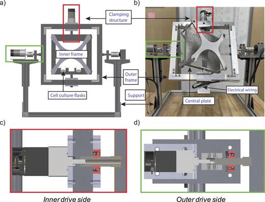 Simulating microgravity using a random positioning machine for inducing ...