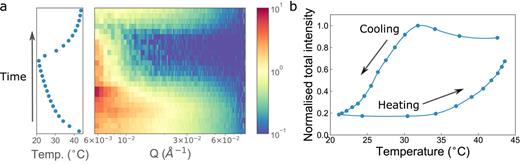 FIG. 5. (a) Temperature (left) and the corresponding azimuthally averaged SANS data (right) showing the initial increase in intensity at low Q, followed by the rapid decline in intensity at higher Q as the temperature is decreased and finally an increase in intensity at higher Q with the increase in temperature, corresponding to aggregation, precipitation, and re-dissolution, respectively. (b) The time-averaged integrated total detector intensity (i.e., total counts on the detector per unit time) as a function of temperature.