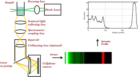 Cell-phone camera Raman spectrometer | Review of Scientific Instruments ...