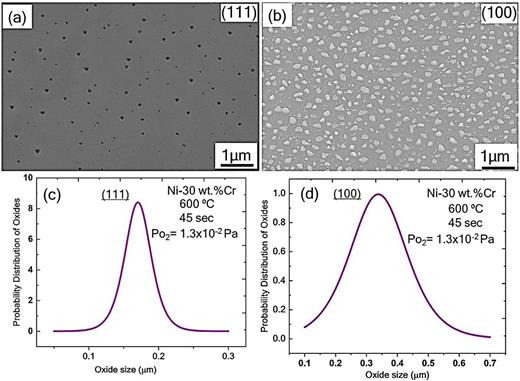 FIG. 7. SEM micrographs and probability distribution of oxides of the Ni-30 wt. % Cr oxidized sample at 600 °C for 45 s, showing that (a) corundum and (b) rock salt oxide islands are forming on both (111) and (100) oriented grains. In (c) and (d), the oxide island size distributions are plotted.
