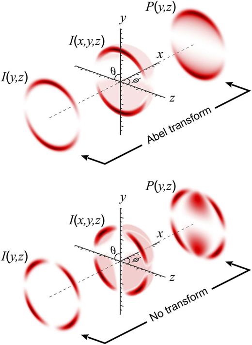 FIG. 1. Schematic illustrating the projection of various 3D distributions onto a 2D plane and the physical origin of the Abel transform. (Upper panel) The center image shows half of an example 3D photofragment distribution I(x, y, z). In typical imaging experiments, the 2D projection of the full 3D distribution along the x axis P(y, z) is recorded (right image). For distributions which have cylindrical symmetry about the y axis [i.e., I(x, y, z) has no explicit ϕ-dependence], the central slice of the full distribution I(y, z) (left image) can be recovered from the projection via the inverse Abel transform. See the main text for additional details. (Lower panel) If I(x, y, z) has a clear ϕ-dependence (center image), then P(y, z) and I(y, z) (right and left images, respectively) are no longer related by the Abel integral. Therefore, neither I(y, z) or I(x, y, z) can be determined analytically or numerically from P(y, z) alone using conventional image processing techniques.