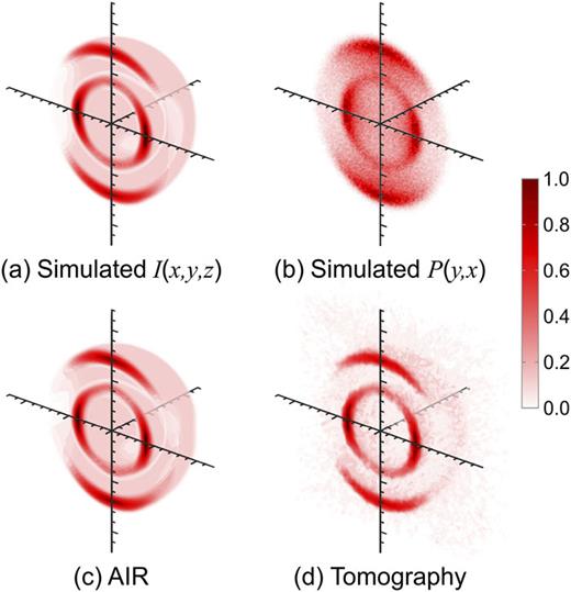 FIG. 12. Simulated example of the AIR network processing more spectrally complicated data that do not contain any cylindrical symmetry. From an initial simulated 3D distribution (a), 105 particle trajectories are simulated and projected onto a detector plane, emulating a typical VMI experiment and producing the projection image (b). Image (b) is then processed using AIR to give (c), a prediction of the original 3D distribution from the single 2D projection image. The same FBP algorithm and noise filtering were used for the data presented in Fig. 10 that produced the image shown in (d).