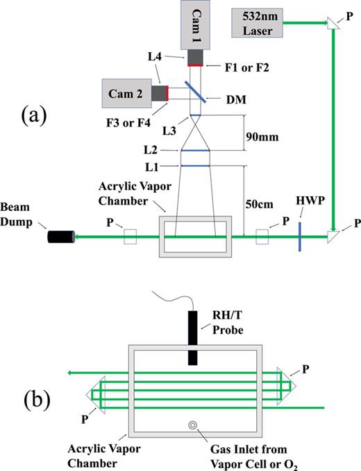 FIG. 1. (a) Experimental setup: Cam 1,2, back-illuminated 512 × 512 px CCD camera; F1, 660 nm interference bandpass filter; F2, 650 nm interference bandpass filter; F3, 607.7 nm interference bandpass filter; F4, 590 nm interference bandpass filter; DM, 638 nm high-pass dichroic mirror; L1, convex lens f = 50 cm; L2, convex lens f = 60 mm; L3, convex lens f = 30 mm; L4, 50 mm f/2.0 C-mount lens; P, right angle prism; and HWP, half-wave plate; (b) Side-view of the acrylic vapor chamber and imaging region. Box dimensions: 9 in. w × 8 in. h × 5 in. d. A water vapor cell (not shown) pumps saturated air into the chamber.
