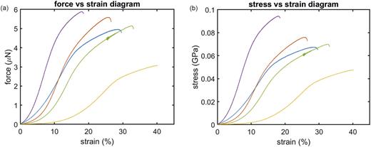 FIG. 11. (a) Exemplary force vs strain diagram of five collagen fibrils tested to failure. (b) Measuring collagen fibril diameter of each tested collagen fibril before tensile testing enables calculation of stress by dividing the measured force by the collagen fibril area.