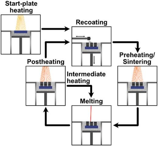 Schematic of the typical process steps of the PBF-EB process. The start plate heating step is only used once at the beginning of the process, while the other steps are repeated for each layer until the build is finished.