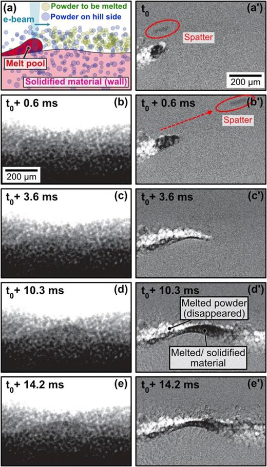 In situ radiography showing the PBF-EB process of tool steel during the melting of a line in the unconfined powder bed. Schematic of the process (a), radiography density contrast at different times (b) to (e), and density evolution over the melting showing the molten material (in dark) and the disappeared powder particles (in white) at different times (a′) to (e′) (multimedia available online). 