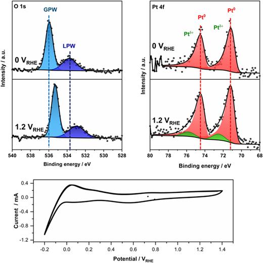 In situ electrochemical XPS study of the oxidation of platinum (Pt). Panels (a) and (b) show the O 1s and Pt 4f region at 0 VRHE (top panel) and 1.2 VRHE (bottom panel), respectively. Gas phase water (GPW) is highlighted in light blue, liquid phase water (LPW) in dark blue; panel (c) depicts the simultaneously recorded cyclic voltammogram.