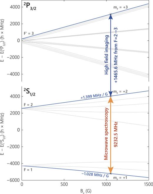 Microwave spectroscopy scheme for our characterization of magnetic field stability using ultracold atoms. First, we prepare ground-state Rb atoms in the F = 1, mF = +1 stretched state. Then, we interrogate the atoms with a microwave pulse tuned near a magnetic dipole transition to the F = 2, mF = +2 state. For a field B = 1050 G, the differential Zeeman shift is h × 2.427 MHz/G. Finally, the transferred atoms are imaged in the high magnetic field using the closed 2S1/2 (F = 2, mF = +2) ↔ 2P3/2 (F′ = 3, mF = +3) transition at 780 nm.