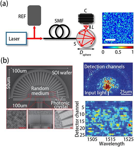 Optical spectrum analyzers and typical applications in astronomy and ...