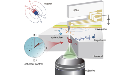 A scanning probe microscope compatible with quantum sensing at ambient ...