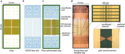 Schematic of the sensor chip and OSTE flow cell designs and their integration by bonding. (a) Illustration of the tunnel junction chip used in this study. Each chip has 12 channels, each channel containing up to 100 tunnel junction devices. (b) OSTE flow cell fabricated using reaction injection molding. (c) The OSTE flow cell is bonded to the chip using a custom-made vacuum chuck assembly, enabling aligned bonding (Fig. 5 and supplementary material Fig S4). (d) Photograph of a chip bonded with an OSTE flow cell. The hierarchical magnified views show (top) an array of five devices and (bottom) a single gold nanoconstriction at the center of each device, which becomes a nanogap tunnel junction after controlled electromigration. Here, the microfluidic channel on the bonded flow cell is indicated schematically (blue dashed lines), as these images were taken before flow cell bonding.