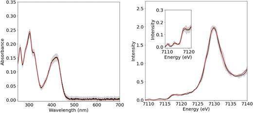 UV/Vis spectrum (left) of a solution of 5 mM ferricyanide from a standard 1 cm cuvette (red, scaled for best fit) and the microfluidic mixer (black, error shown in gray). K-edge HERFD XAS spectra (right) of 5 mM ferricyanide in aqueous solution (black, error shown in gray) and a solution spectrum of ferricyanide adapted with permission from Huyke et al., J. Synchrotron Radiat. 28(4), 1100–1113 (2021). Copyright 1999–2024 John Wiley & Sons, Inc. Pre-edges of 5 mM ferricyanide (black, error shown in gray) and the solution spectrum of ferricyanide adapted from Huyke et al. (red) are shown as an inset.