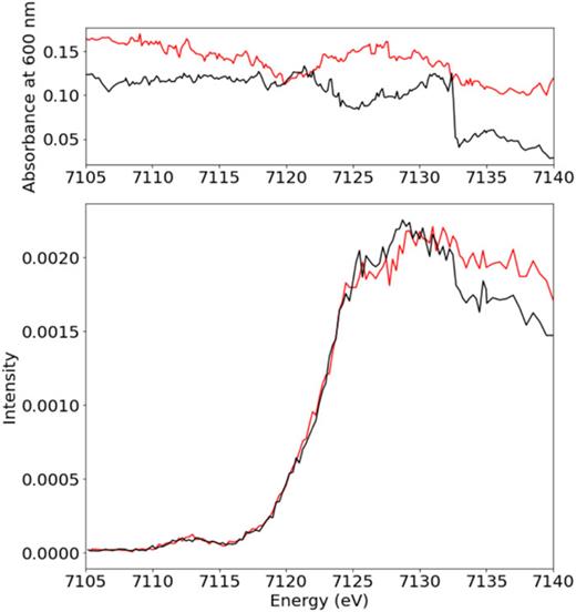 Representative XAS scans and corresponding UV/Vis absorbance at 600 nm of a 250 μM Fe protein (1 mM Fe). Red traces correspond to sufficiently high stability, while black scans depict large sample flow decrease starting from 7132 eV until the end of the scan.