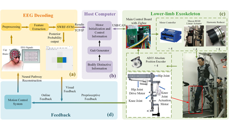 A brain–computer interface system for lower-limb exoskeletons based on ...