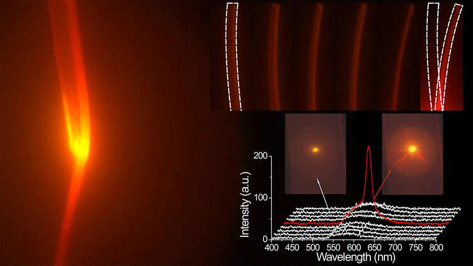 Inducing movement controls the emission of a random laser | Scilight ...