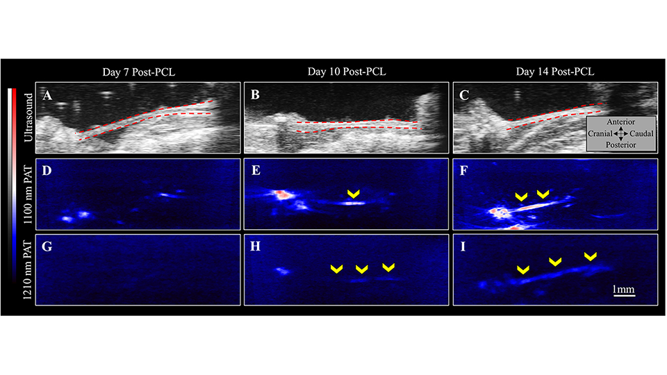 Multi-modality method offers precise characterization of ...