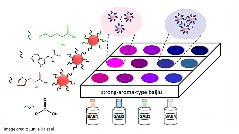 DNA coding and chaotic mapping boost performance in image encryption